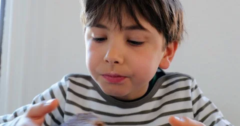 Young boy taking a bite from sliced bread in the morning. Child eating breakf Stock Footage 118239446
