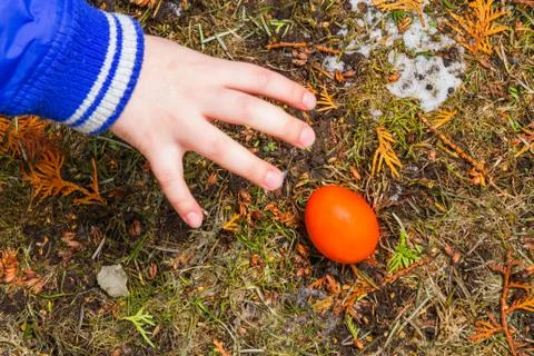 Young boy taking a hidden easter egg from the ground Stock Photos