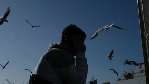 Young boy talking on the phone, view of seagulls behind him Stock Footage 148425151
