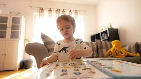 Young Boy Teaching and Reading Books at a Cozy Table Stock Footage 263967003