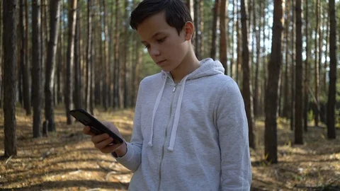 Young boy texting on smartphone standing on pine woods Stock Footage 117744326