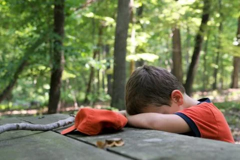 Young boy tired napping at the table Stock Photos