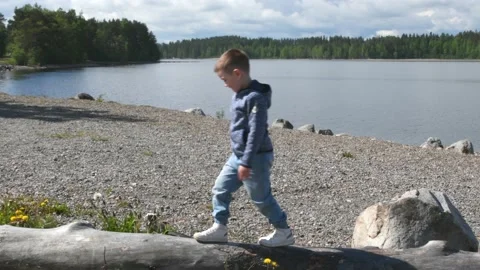 Young boy toddler walking on the fallen tree. Stock Footage 165495857