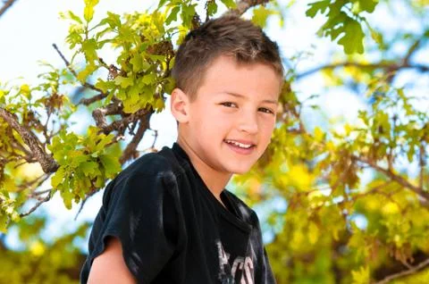 Young boy up in the tree Stock Photos