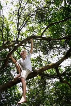 Young boy in tree Stock Photos