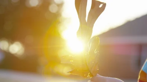 A young boy twirls a leaf as he examines it during sunset Stock Footage 93893955
