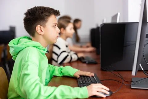 Young boy using computer during lesson 库存照片