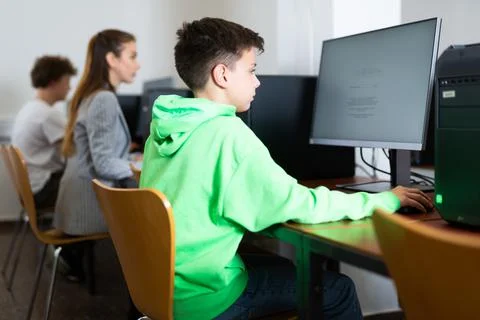Young boy using computer during lesson Foto stock