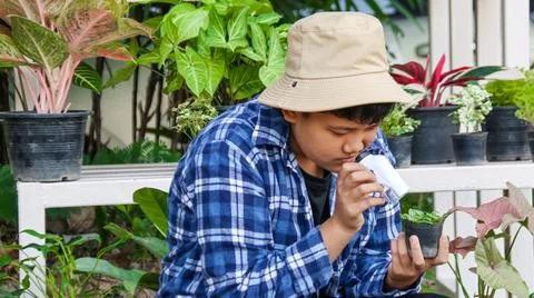 Young boy is using a small magnifying glass to inspect and to study plants Stock Photos
