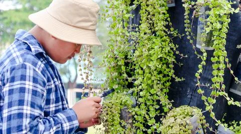 Young boy is using a small magnifying glass to inspect and to study plants Stock Photos