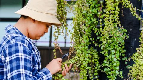 Young boy is using a small magnifying glass to inspect and to study plants Stock Photos
