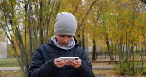Young boy using smartphone outdoors in autumn park. Child engages with mobile Stock Footage 343854913