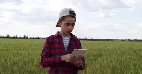 Young boy using tablet in wheat field. Kid interacts with technology outdoors Stock Footage 343856384