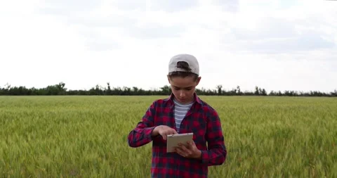 Young boy using tablet in wheat field. Modern agriculture technology enhances Stock Footage 346753252