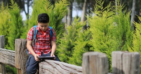 Young boy using touch pad at the nature Stock Footage 88290320