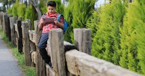Young boy using touch pad at the nature 2 Stock Footage 88292924