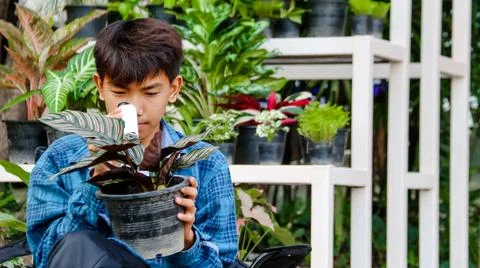 Young boy is using a white small microscope to inspect and to study plants Foto stock