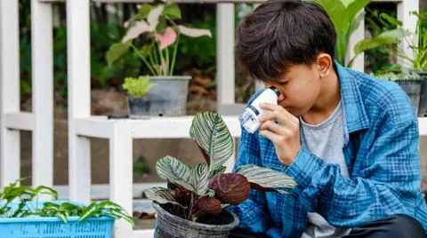 Young boy is using a white small microscope to inspect and to study plants Stock Photos