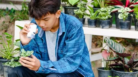 Young boy is using a white small microscope to inspect and to study plants Stock Photos