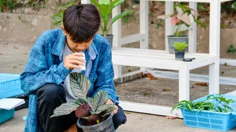 Young boy is using a white small microscope to inspect and to study plants Stock Photos