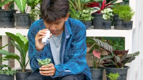 Young boy is using a white small microscope to inspect and to study plants Stock Photos