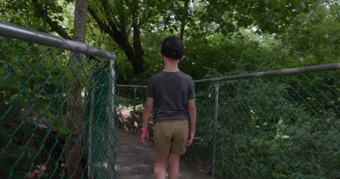 Young boy walking above tree line on a t... | Stock Video | Pond5