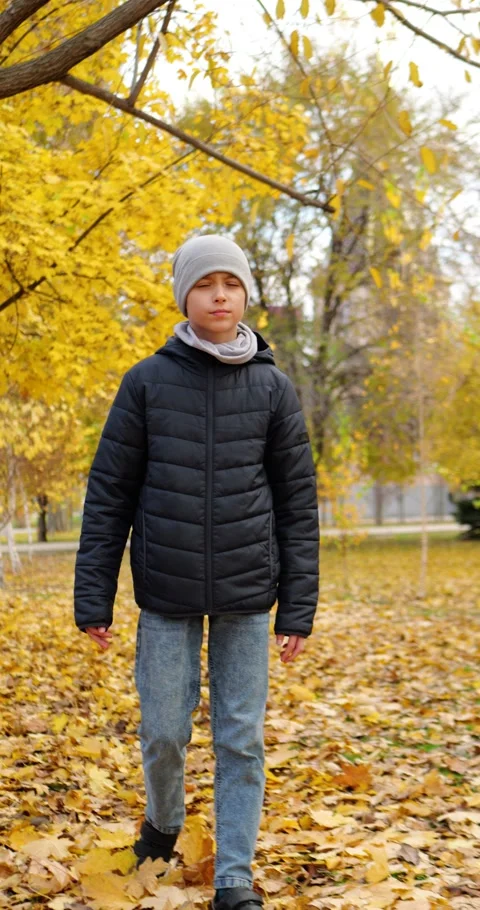 Young boy walking in autumn park. Fall leaves surround him as he enjoys nature Stock Footage 343855825