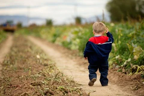 A young boy is walking down a dirt road in a field Stock Photos