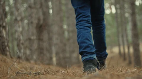 Young boy walking in the forest. Camera on the ground. Stockbeeldmateriaal 104708319