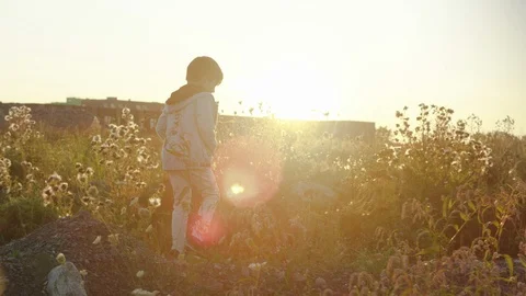 Young boy walking on the meadow at sunset Vídeos de archivo 119993347
