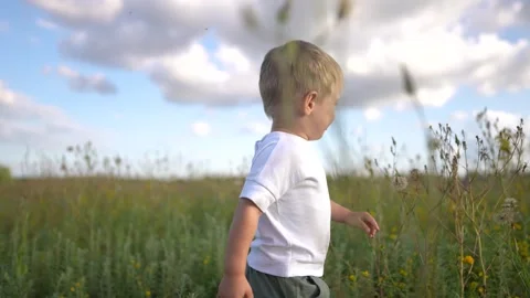 Young boy walking through field. A child is standing outdoors in a field Stock Footage 316037255