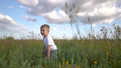 Young boy walking through field. A child is standing outdoors in a field Stock Footage 319326602
