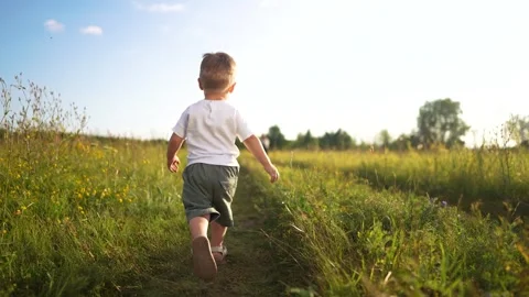 Young boy walking through field. Boy is walking child outdoors. A casual summer Stock Footage 320062836