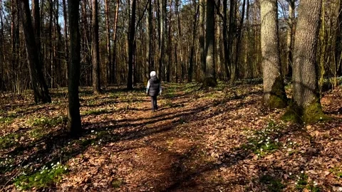 Young boy walking through spring forest Stock Footage 189395976