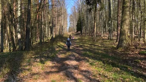 Young boy walking through spring forest Stock Footage 196157359