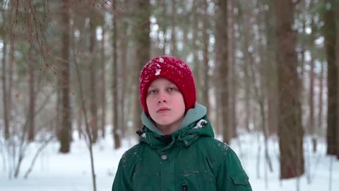 Young boy walking in winter forest Stock Footage 265791360
