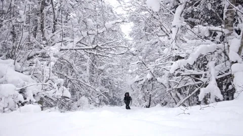 Young boy in winter forest Stock Footage 66074225