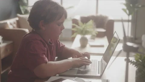 Young Boy Working On A Computer In Class Video stock 208804360