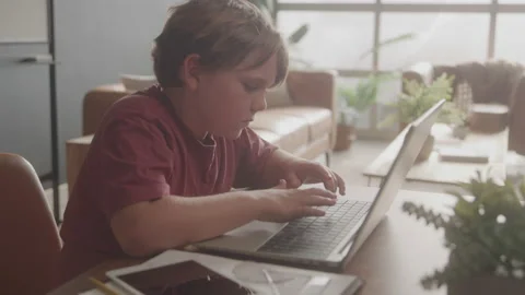 Young Boy Working On A Computer In Classroom Stock Footage 208804552