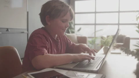 Young Boy Working On A Computer At School Stock Footage 208804253