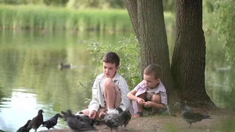 Young boys feeding pigeons bread by the lake in a peaceful park.  Stock-Footage 342191539