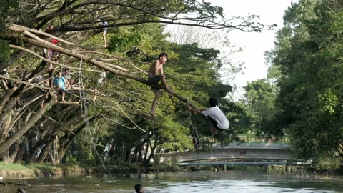 Young boys playing with tree branch above the river Stock Footage 132451419