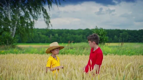 Young boys on wheat field Stock Footage 135986247