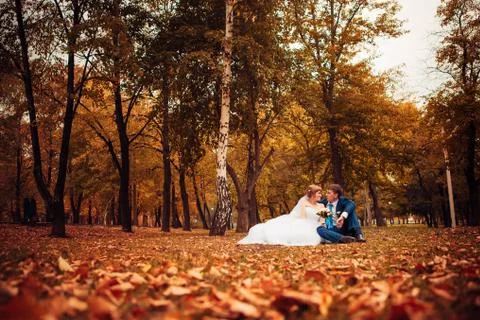 Young bride and groom on the background of autumn landscape Stock Photos