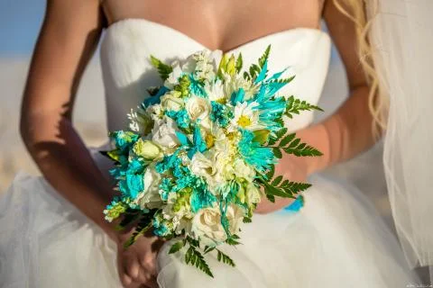 Young bride with flowers Stock Photos