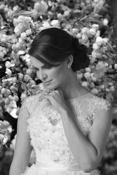 Young bride. Stock Photos