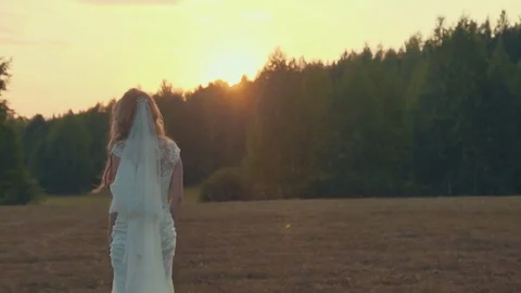 Young bride walks across the field toward the woods at sunset. Stock Footage 73658521