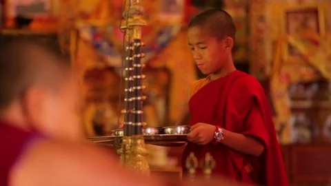 Young Buddhist monk serving meal to the older monks Stock Footage 77443632