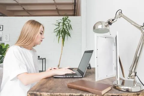 Young business woman working at home behind a laptop. Creative Scandinavian Stock Photos