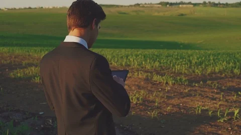 Young businessman using tablet on the green field on the sunset 4K Stock Footage